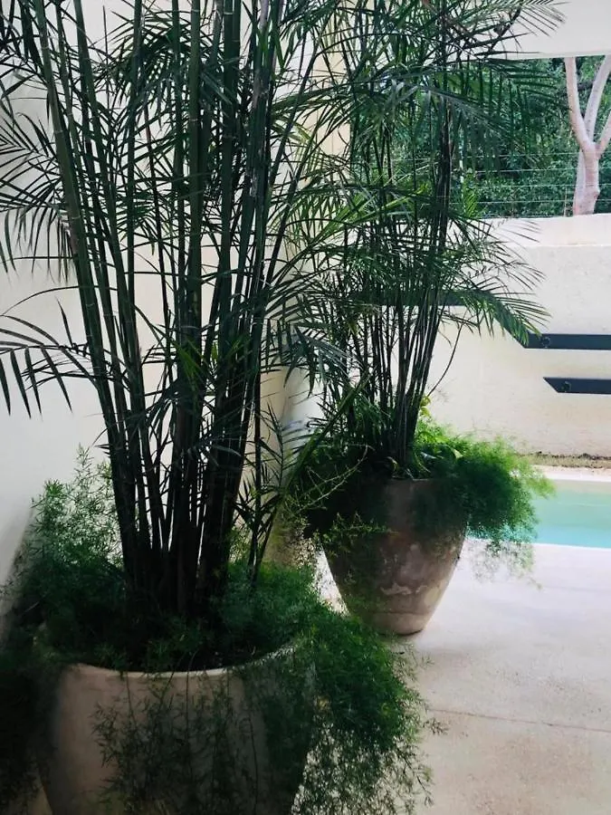 Ferienwohnung Casa Leo Tulum Apartment
